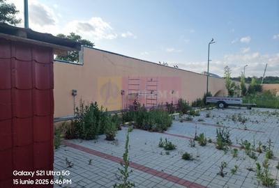 TEISORI (JUD. GIURGIU) - DE VZ CASA OASPETI + ANEXE - 14