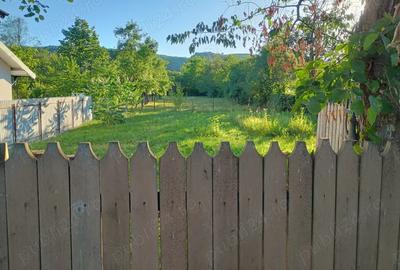 Casa Caline?ti Arges - 4