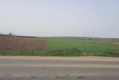 Teren intravilan la vanzare in Loc. Mihailesti - 5