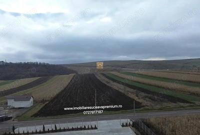 Teren de 14066 mp, în Mihoveni - 8