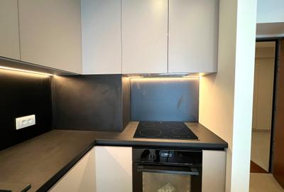 2 camere - AVIATIEI TOWER, Promenada, Herastrau, Herastrau 2 camere - AVIATIEI TOWER, Promenada, Herastrau, Herastrau - 8