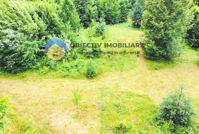 TEREN intravilan   8.000 mp TARCAU - 2