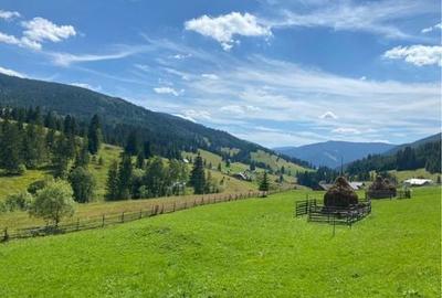 Spațiu comercial, în Glodu - 5