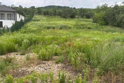 Teren Construcții intravilan de 2077 mp, în Podgoria - 2