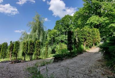 Casă individuală cu 5 camere cu Garaj în Făget - 12