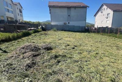 Teren de 400 mp, în Zăvoi - 1