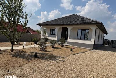 Casă cu 3 camere cu Teren 4200 Mp în Rogerius - 8