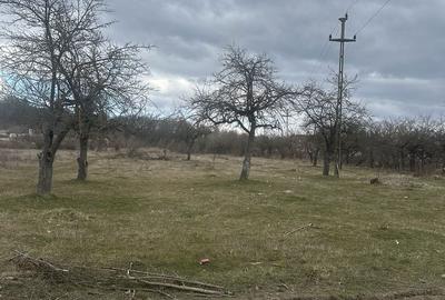 Teren de 4400 mp, în Voila - 7