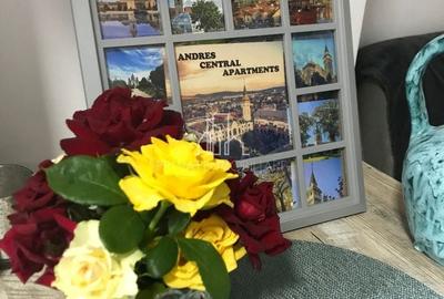 Casa Moderna 2 Camere De Vanzare Curte Proprie, Str Horea, Central - 13