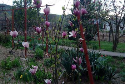 Casa de vanzare in Baiculesti,judetul Arges - 5