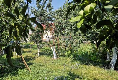 Casă cu 4 camere în Bartolomeu - 3