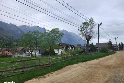 Spațiu comercial, în Poiana - 5