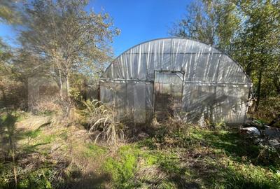 Casa tradi?ionala cu teren 4.500 mp ?i anexe gospodare? - 5