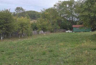 Spațiu comercial, în Lunca Mare