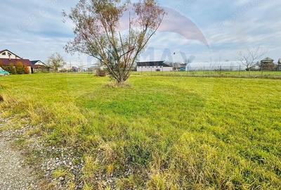 Teren 1,100mp Sighetu Marmatiei / Strada Doboies - 2