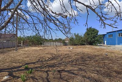 Hala de vanzare in Poiana Hala de vanzare in Poiana - 2