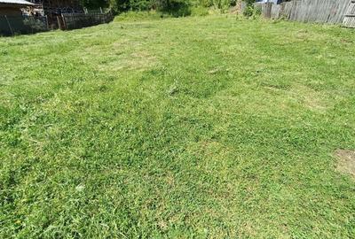 Spațiu comercial, în Valea Siliștii - 1