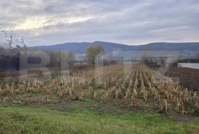 Teren intravilan, 2100 mp, Micesti - 1