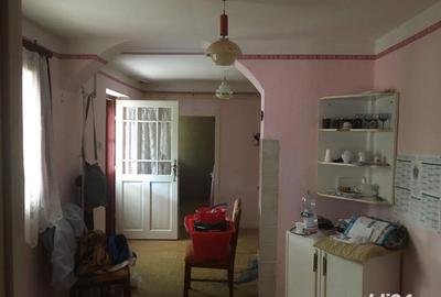 Casă cu 3 camere cu Teren 2538 Mp în Salonta - 2