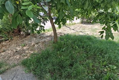 Apartament cu 2 camere semidecomandat în Mioriței - 2