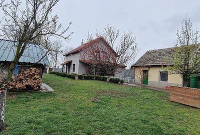 Casă cu Teren 3000 Mp în Rudna - 9