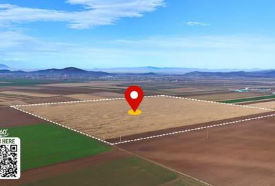 Teren de 324800 mp, în Prejmer - 7