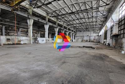 Hala - 1137 mp  # plus-imo.ro - 2