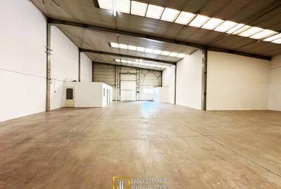 Hala industrială de închiriat - 372 mp, centru Arad - 2