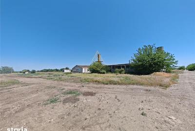 Teren de 58664 mp, în Vadu Pașii - 9