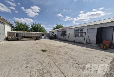 Hala depozitare/productie 300 mp |AccesTir | Teren liber 500 mp | Magurele DNCB - 4