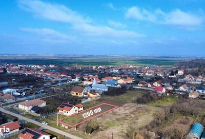 Spațiu comercial, în Bazoș - 5