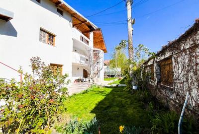 Vila Trivale Pitesti - 1