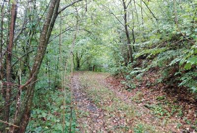 Teren Construcții intravilan de 5700 mp, în Râu de Mori - 12