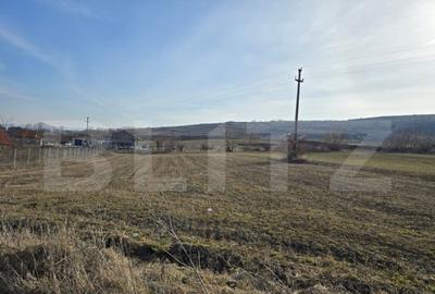 Teren extravilan de vanzare, 1.113 mp, zona-Valea Chintaului - 7