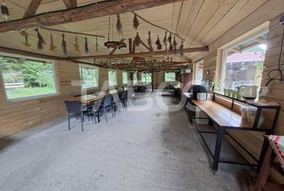 Spatiu de vanzare in Valea Macesului judel Valcea iesire la Lotru - 29