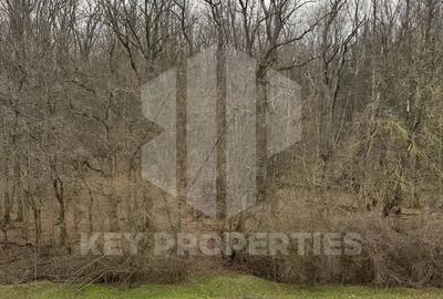 Greenfield, bloc 2022, vedere directa padure - 15