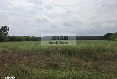 Spațiu comercial, în Ciolpani - 2