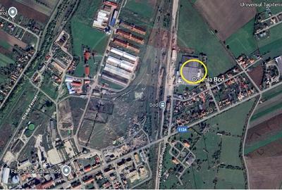 Vanzare hala industriala Colonia Bod, judetul Brasov - 5