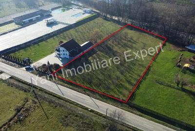 Teren de 4166 mp, în Stănești - 11