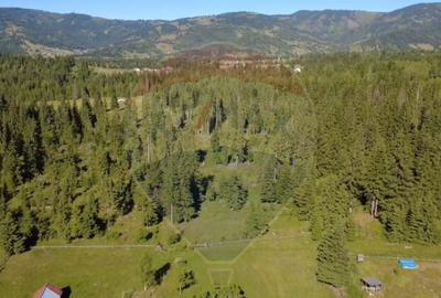 Teren 19,370mp Neagra Sarului / Strada ?estina - 3