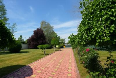 Oportunitate Domnesti – casa solida pe teren de 4.500 mp - 20