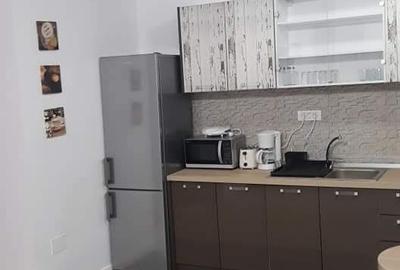 Apartament cu 2 camere decomandat, mobilat în Est - 5