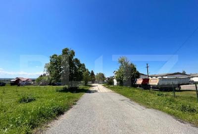 OPORTUNITATE! Teren intravilan 4,5 ha, cu 8 hale de+16.000mp - 3