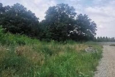 Corbeanca Teren 3546 mp - liziera padure - utilitati - 4