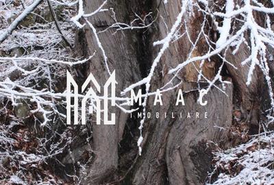 Teren Construcții intravilan de 20000 mp, în Dângești - 27