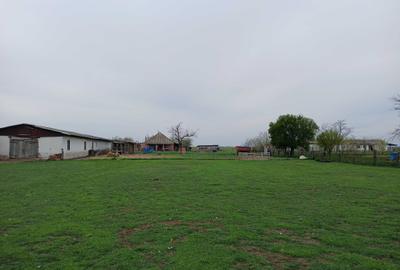 Teren de 100800 mp, în Sud - 5