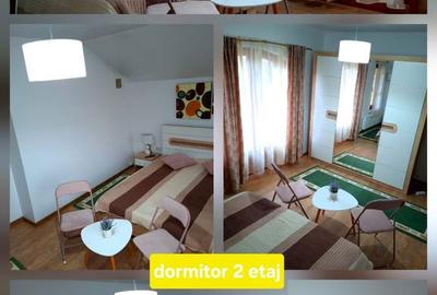 Casă cu 4 camere cu Teren 1009 Mp în Mărăcineni - 16