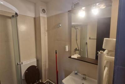 Garsonieră decomandată, mobilată în Palat - 6