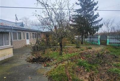 Casă individuală cu 3 camere cu Teren 3471 Mp în Suraia - 5