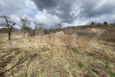 Teren intravilan in suprafata de 2000 mp, zona Episcopiei - 1